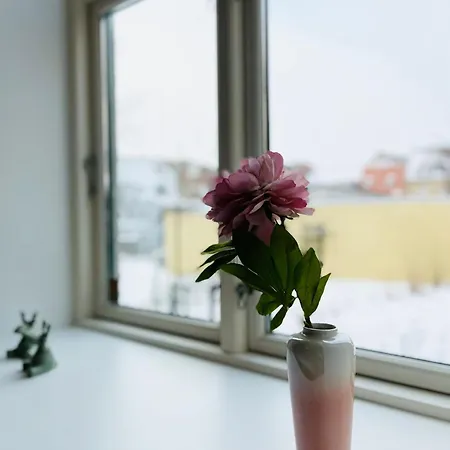 Appartement Scandinavian - Industrimuseet - 3