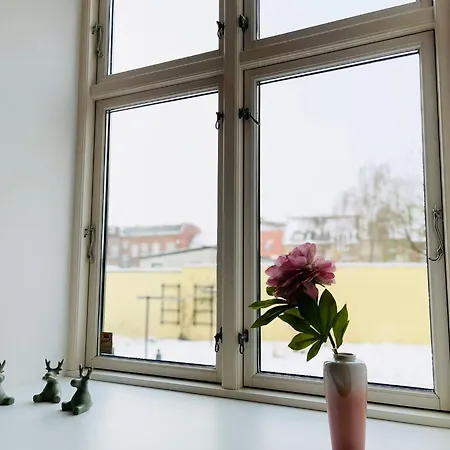 Appartement Scandinavian - Industrimuseet - 3 *