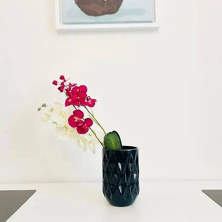 Appartement Scandinavian - Industrimuseet - 3 *